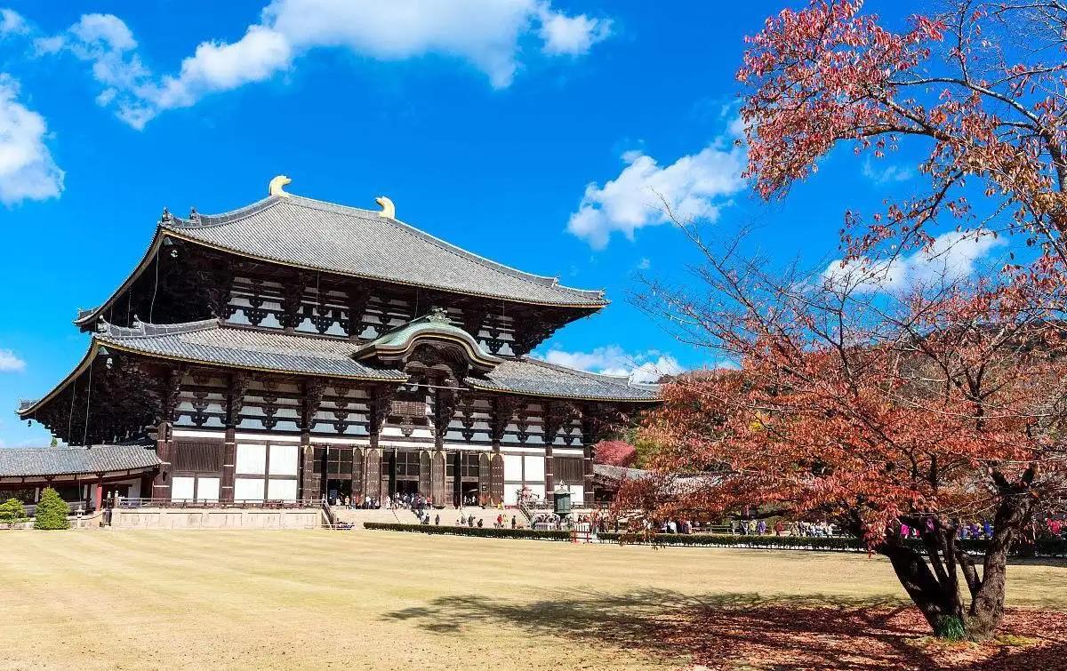 漫步奈良公园