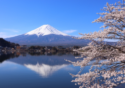 怎么乘车前往观光富士山